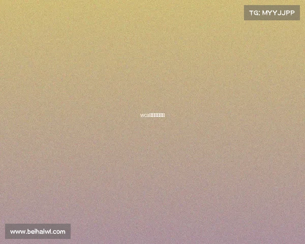 wca世界电竞中心 wca世界电竞中心