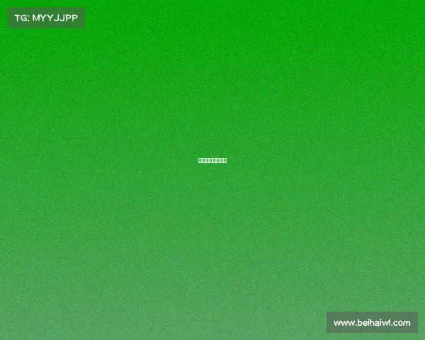 星速科技有限公司