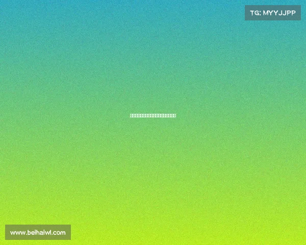 梦幻西游电子竞技选手梦幻西游端游比赛